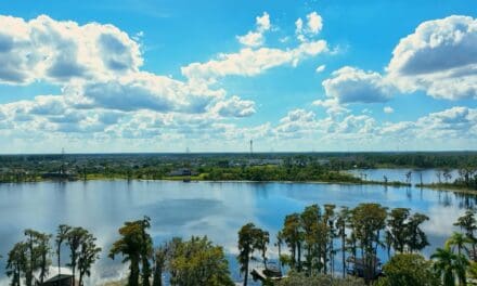 11737 Waterstone Loop Drive, Windermere, FL 34786
