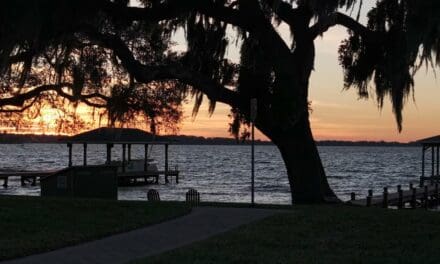 12442 Lakeshore Drive, Clermont, FL 34711